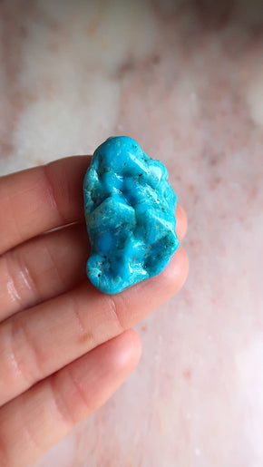 Premium Turquoise