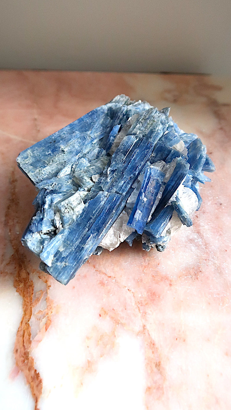 Extra Large Premium Kyanite