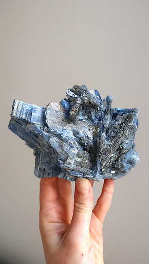 Extra Large Premium Kyanite