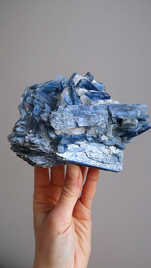 Extra Large Premium Kyanite