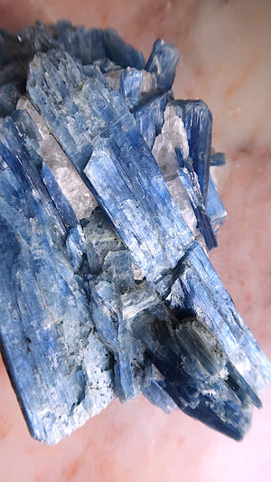 Extra Large Premium Kyanite