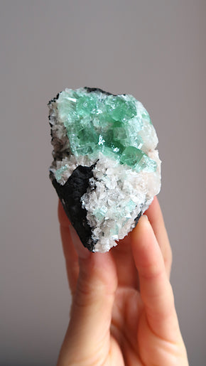 Premium Green Apophyllite
