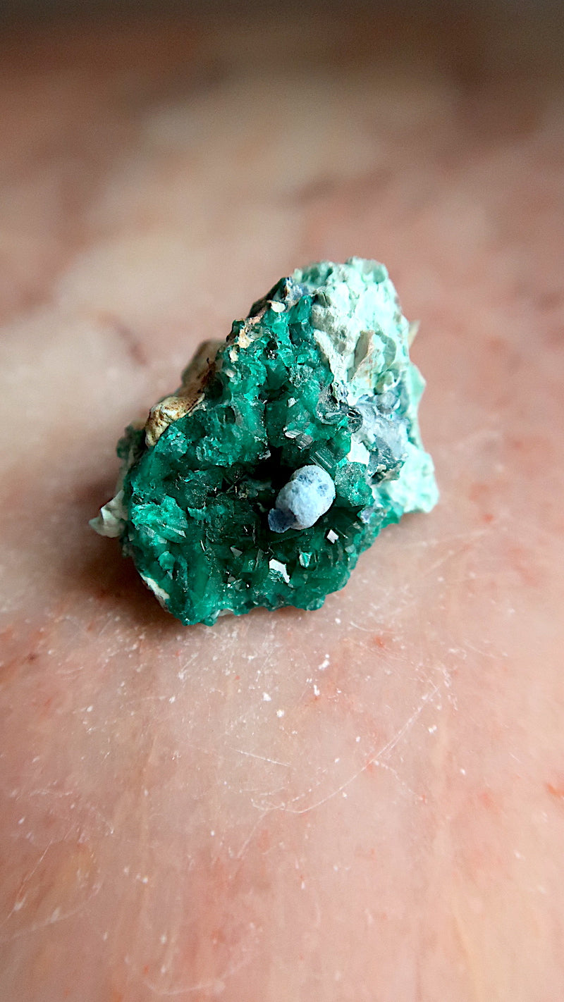 Premium Dioptase & Shattuckite