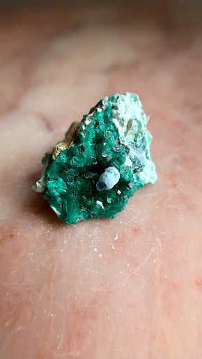 Premium Dioptase & Shattuckite