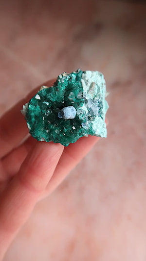 Premium Dioptase & Shattuckite