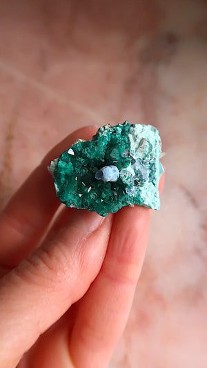 Premium Dioptase & Shattuckite