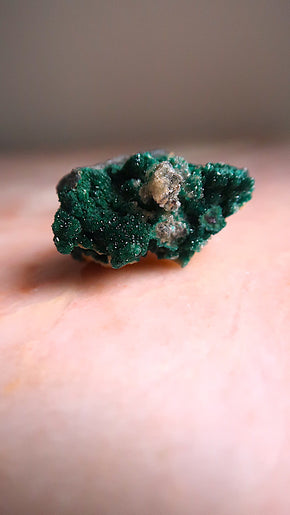 Premium Dioptase