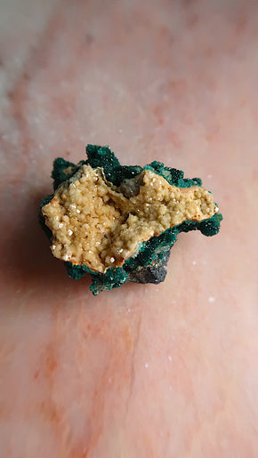 Premium Dioptase