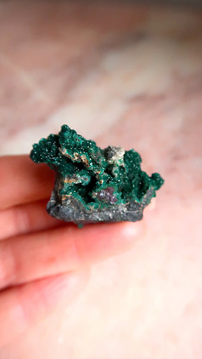 Premium Dioptase