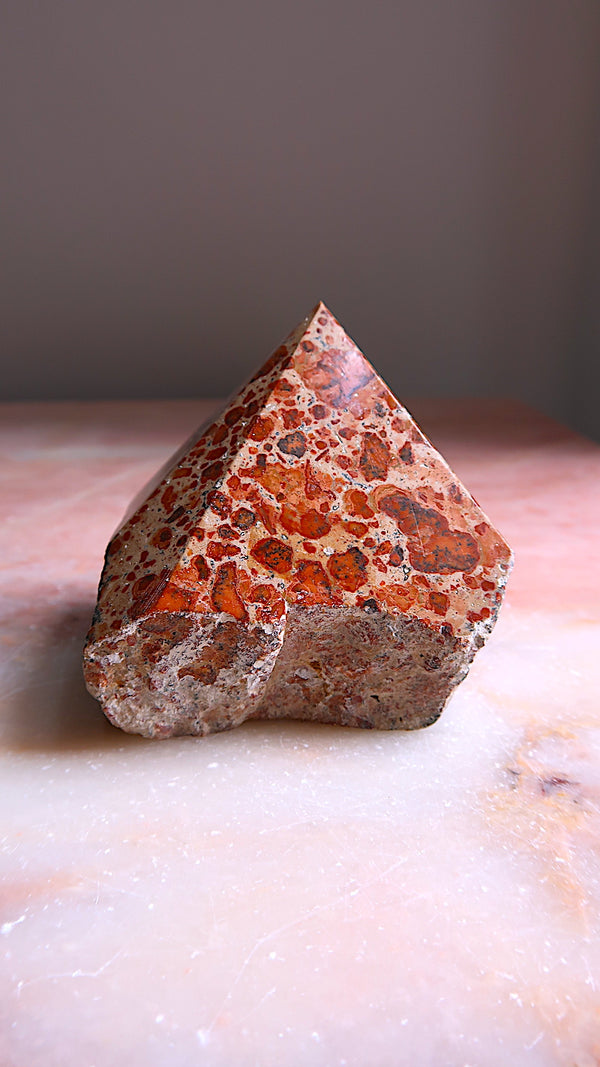 Leopard Skin Jasper Point