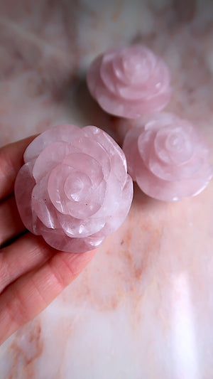 Rose Quartz Roses