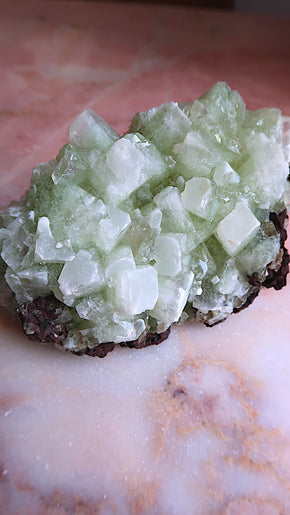 Large Green Apophyllite Cluster