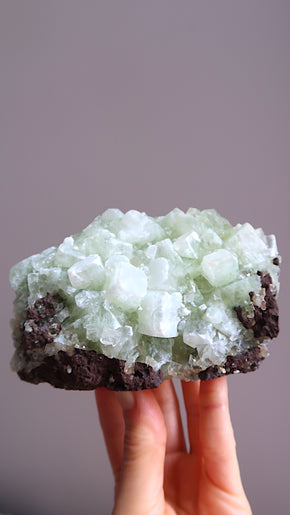 Large Green Apophyllite Cluster
