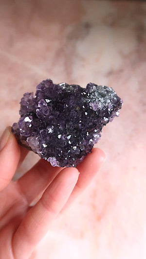 Premium Amethyst Cluster