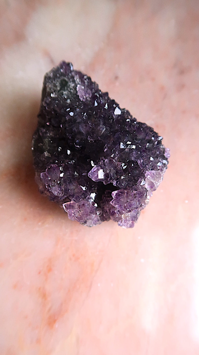 Premium Amethyst Cluster