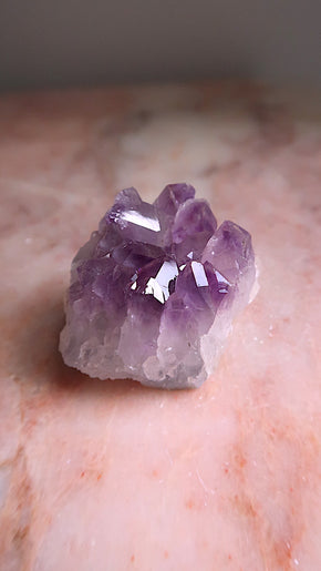 Premium Amethyst Cluster