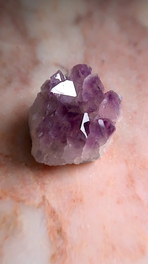 Premium Amethyst Cluster