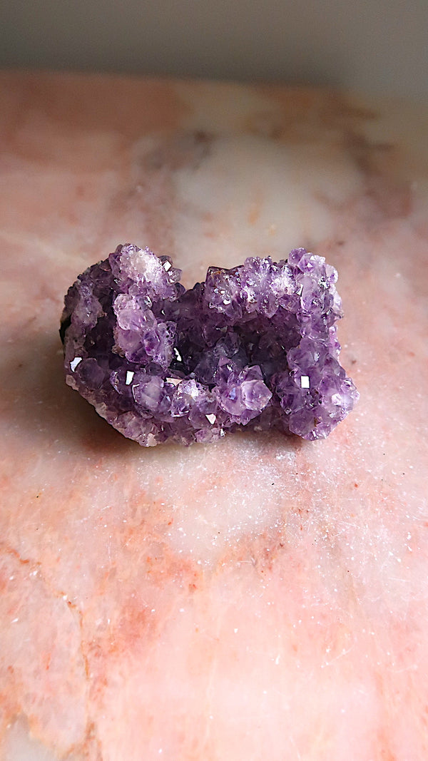 Premium Amethyst Cluster