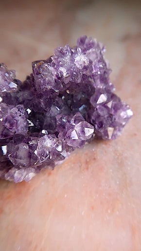 Premium Amethyst Cluster