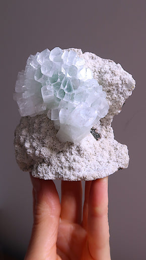 Special Green Apophyllite Flower