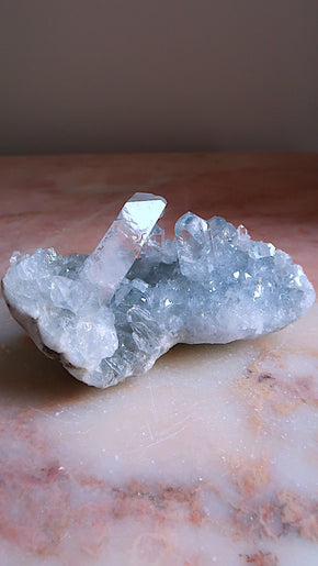 Premium Celestite Cluster