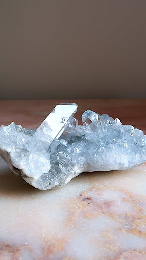 Premium Celestite Cluster
