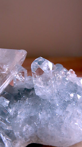 Premium Celestite Cluster