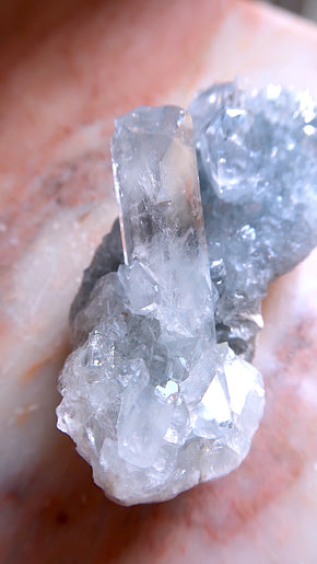 Premium Celestite Cluster