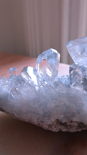 Premium Celestite Cluster