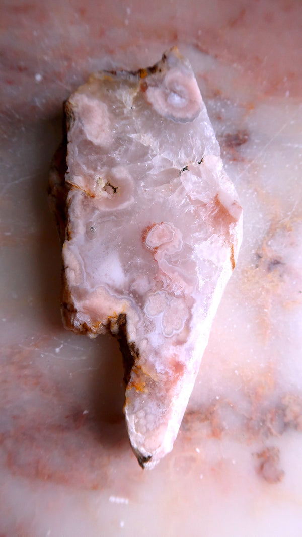 Flower Agate Slab