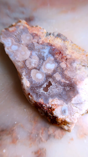 Flower Agate Slab