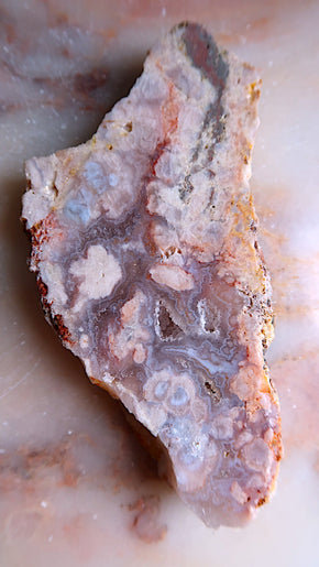 Flower Agate Slab
