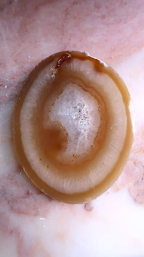 Natural Agate Slice