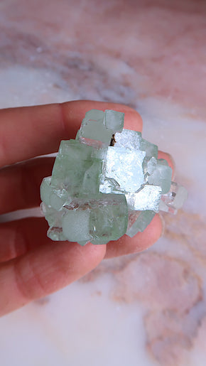 Green Apophyllite Cluster