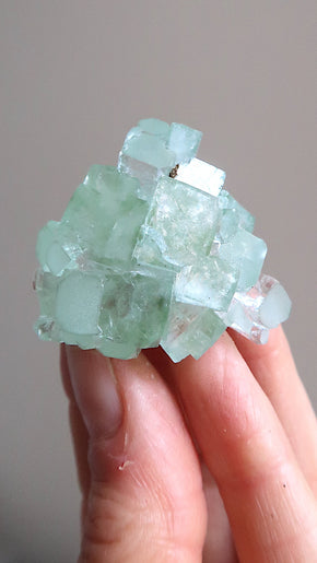 Green Apophyllite Cluster