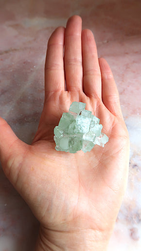 Green Apophyllite Cluster