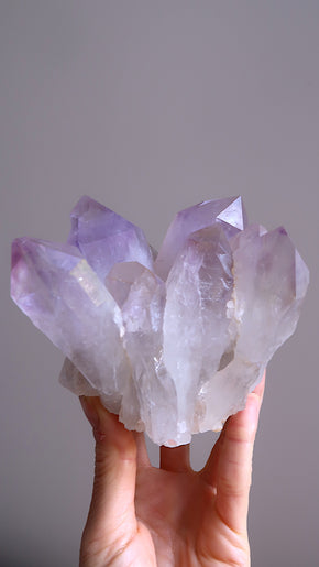 Large Amethyst Cluster