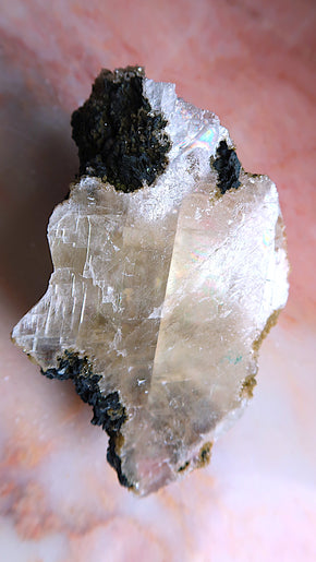 Special:Yellow Optical Calcite (rainbows)