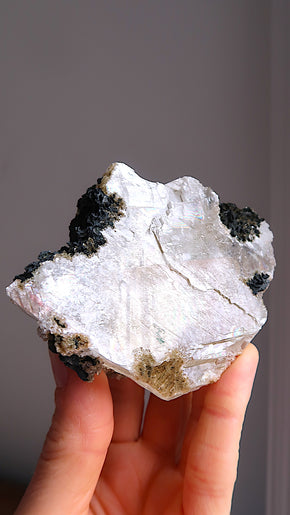 Special:Yellow Optical Calcite (rainbows)