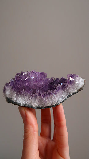 Premium Amethyst Cluster