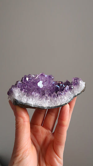 Premium Amethyst Cluster