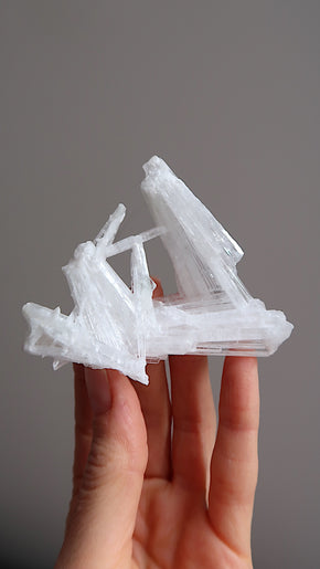 Premium Scolecite