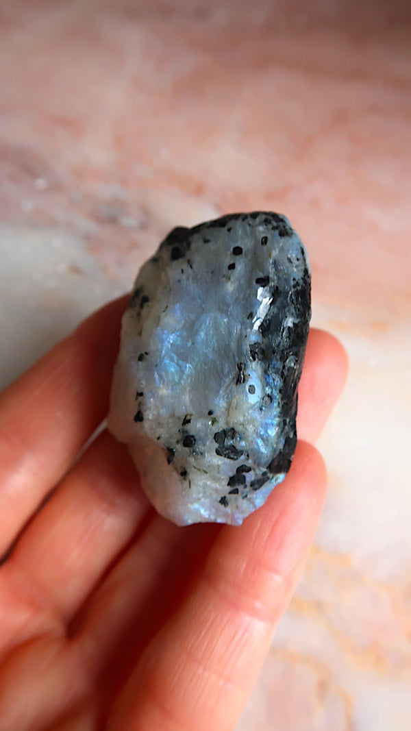 Premium Rainbow Moonstone