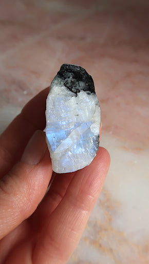 Premium Rainbow Moonstone