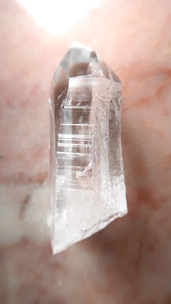 Premium Large Lemurian