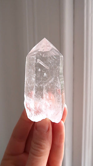 Premium Large Lemurian