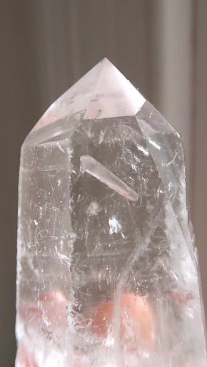 Premium Large Lemurian