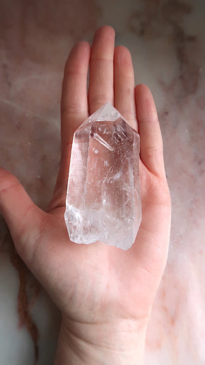 Premium Large Lemurian