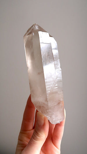 Extra Large Premium Smokey Lemurian (rainbows)