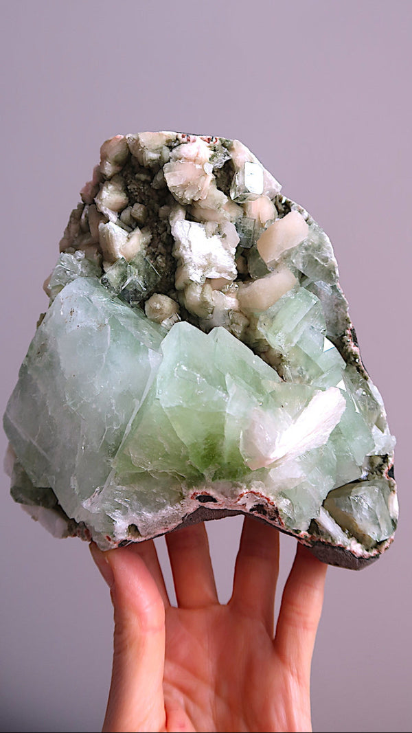 Special:Extra Large Green Apophyllite